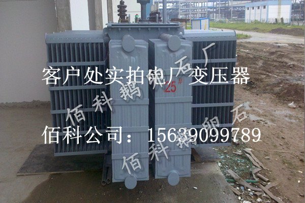 客戶想要購(gòu)買齊全的水處理鵝卵石到哪里去？