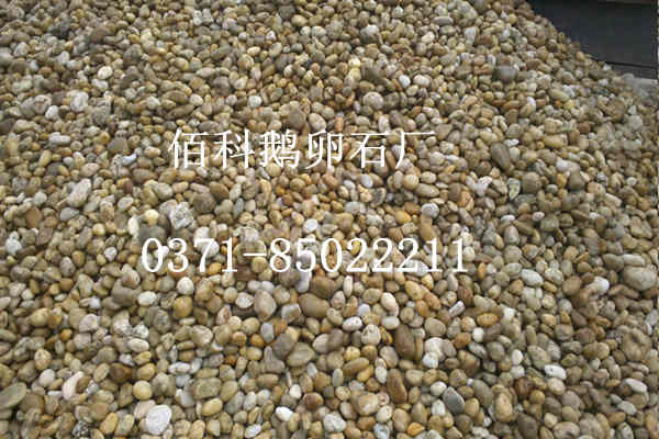 在哪里可以買到鋪路用天然鵝卵石？